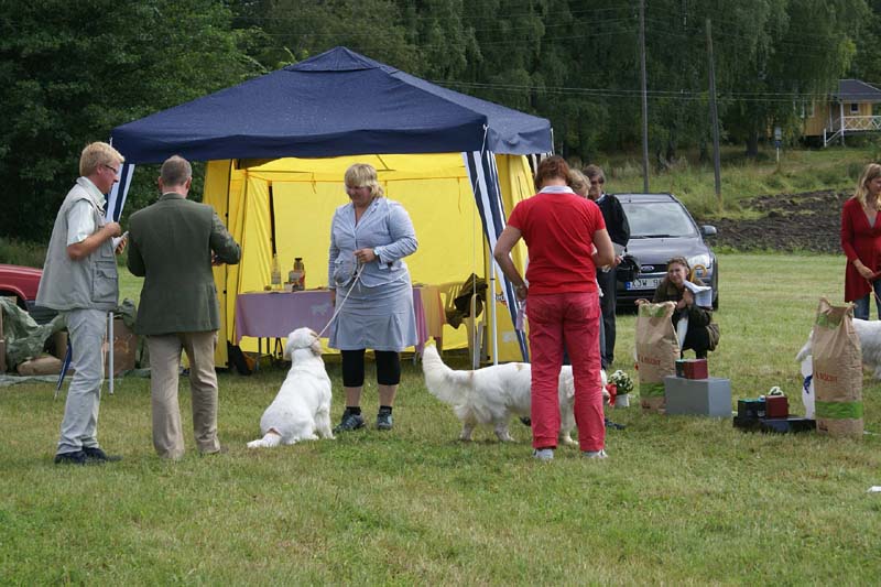 SWE_CLUBSHOW_BIS_1_2_c