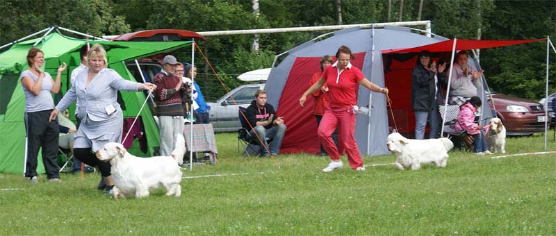 SWE_CLUBSHOW_BIS_ring