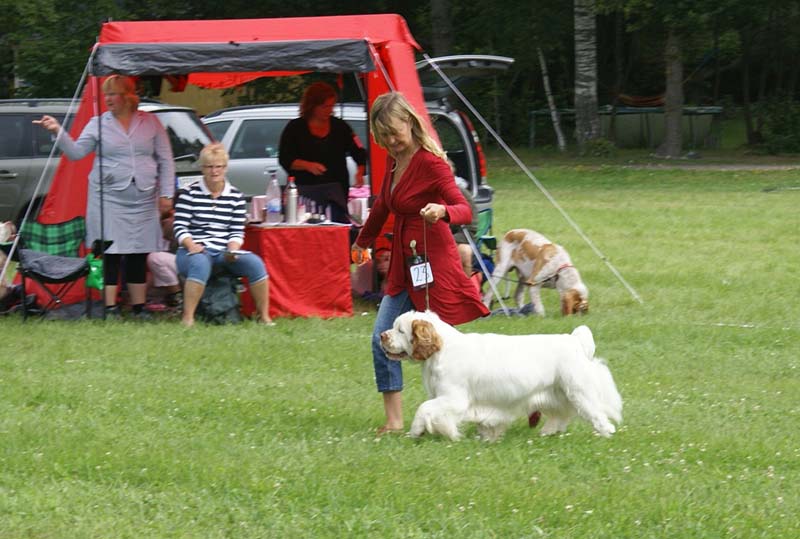 SWE_CLUBSHOW_ChampionClassDogs_23