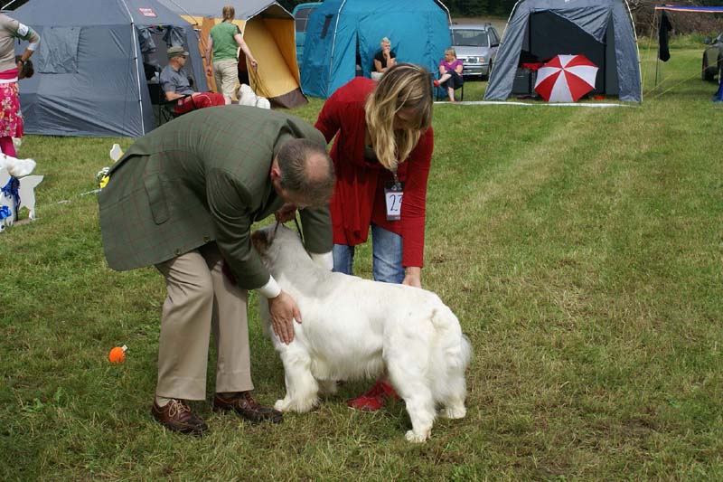 SWE_CLUBSHOW_ChampionClassDogs_23_b