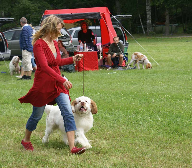 SWE_CLUBSHOW_ChampionClassDogs_23_c