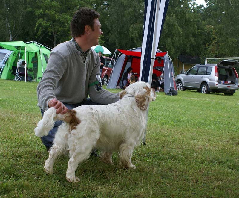 SWE_CLUBSHOW_ChampionClassDogs_27