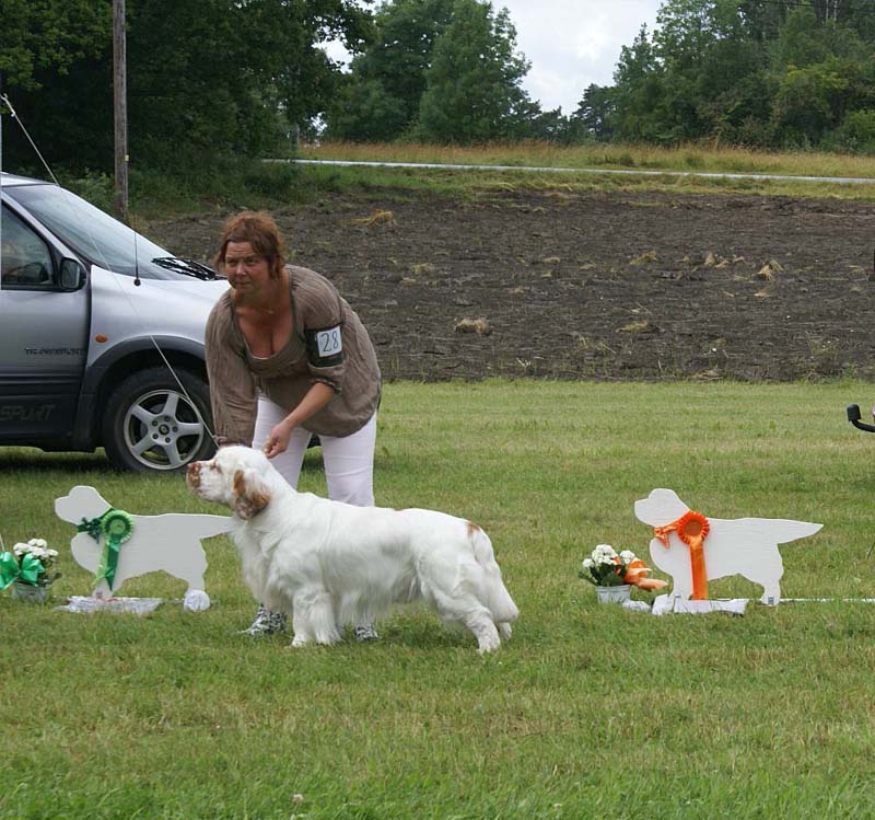 SWE_CLUBSHOW_ChampionClassDogs_28