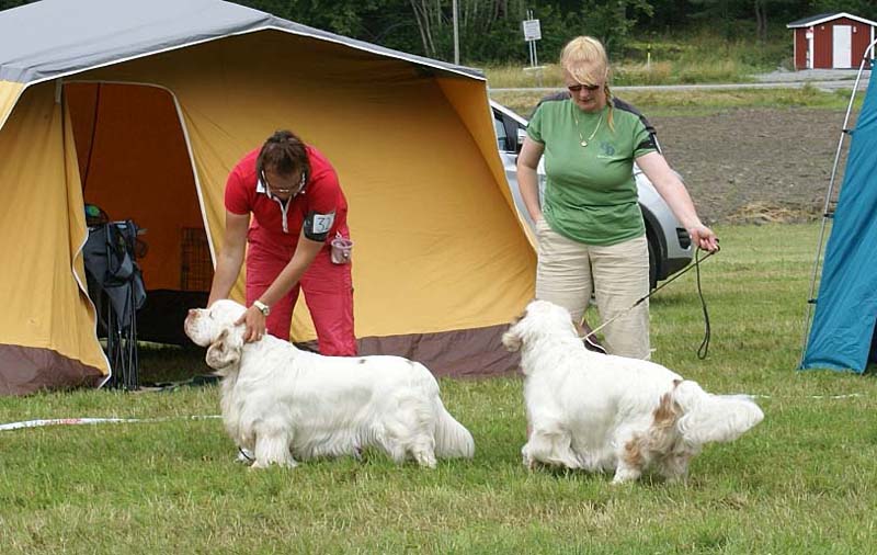 SWE_CLUBSHOW_ChampionDogs_NexusSpiceTwiceVanguard_STAthos