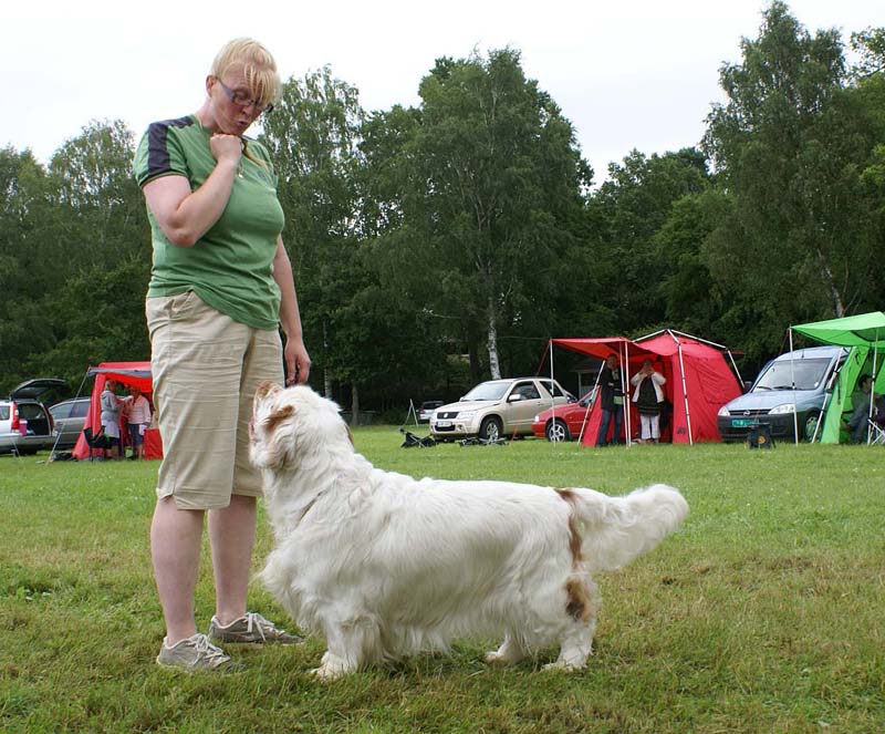 SWE_CLUBSHOW_Champion_dog_ST_Athos