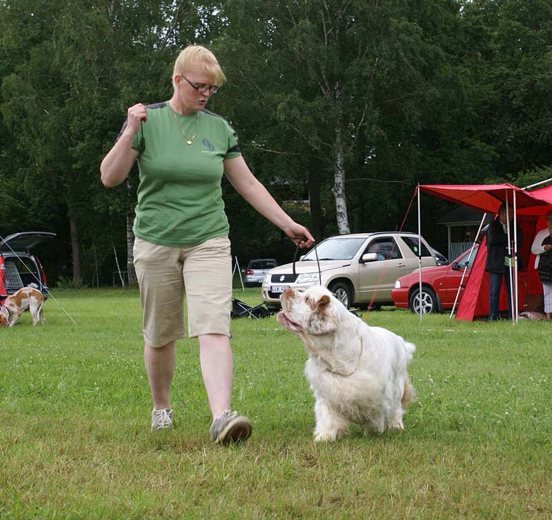 SWE_CLUBSHOW_Champion_dog_ST_Athos_b