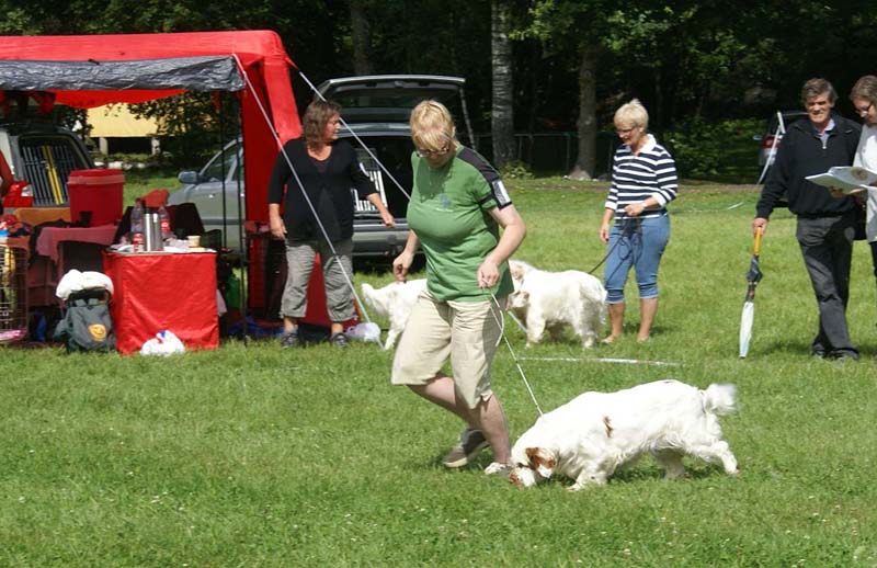 SWE_CLUBSHOW_IntermediateBitch_STOmega_h