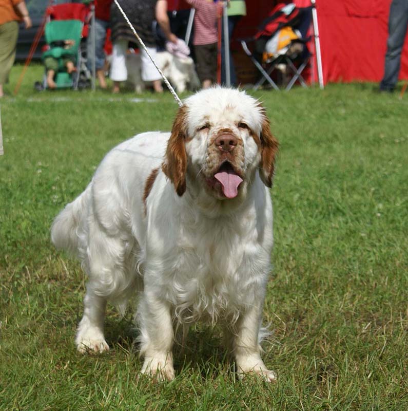 SWE_CLUBSHOW_IntermediateBitch_STOmega_i