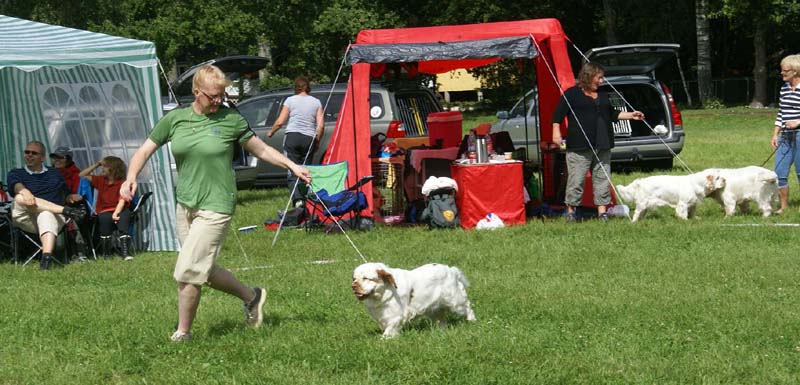 SWE_CLUBSHOW_IntermediateBitch_STOmega_j