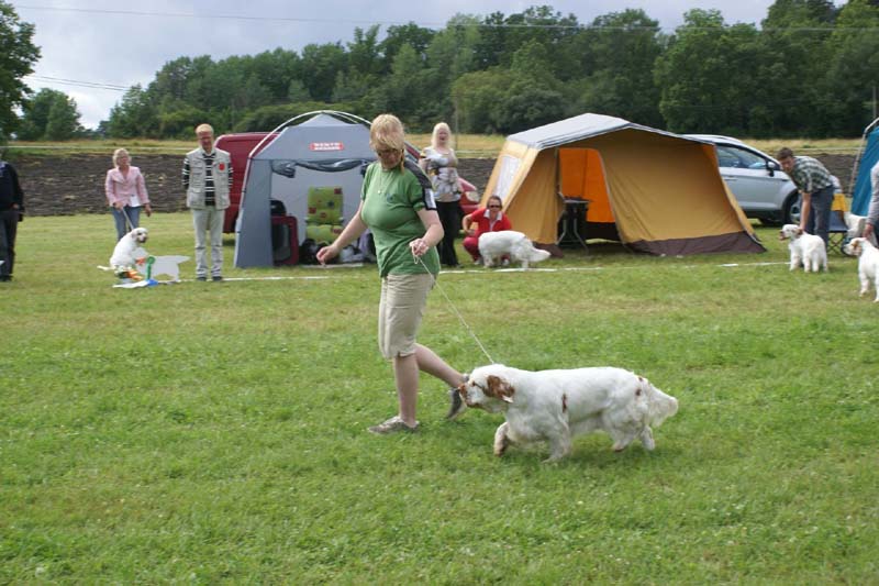 SWE_CLUBSHOW_IntermediateBitch_STOmega_o