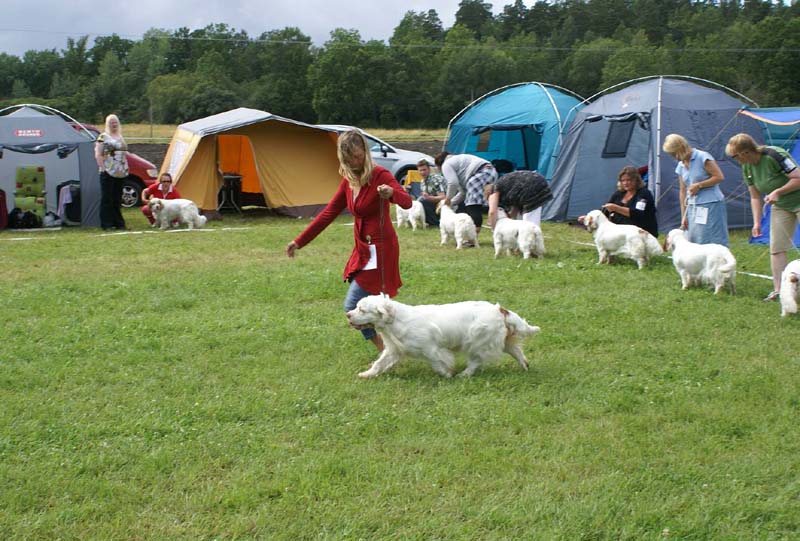 SWE_CLUBSHOW_IntermediateBitches_46_b