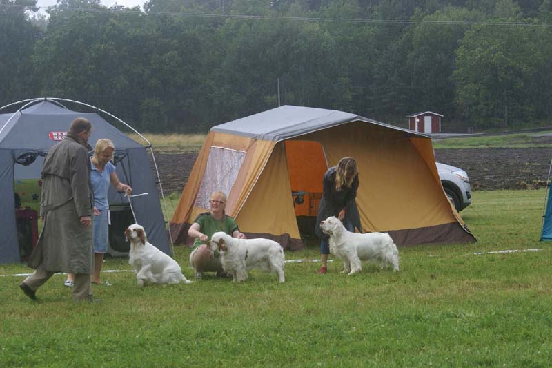 SWE_CLUBSHOW_IntermediateBitches_STCrystalSnow_STOmega