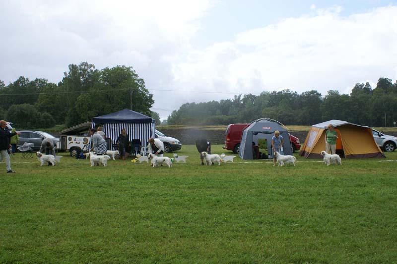 SWE_CLUBSHOW_IntermediateBitches_b