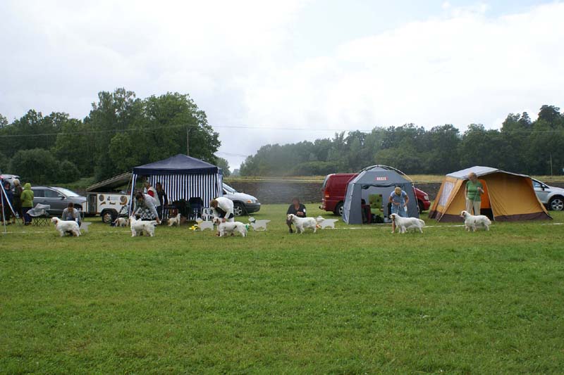 SWE_CLUBSHOW_IntermediateBitches_c