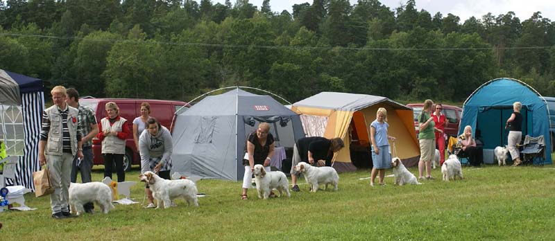 SWE_CLUBSHOW_IntermediateBitches_d