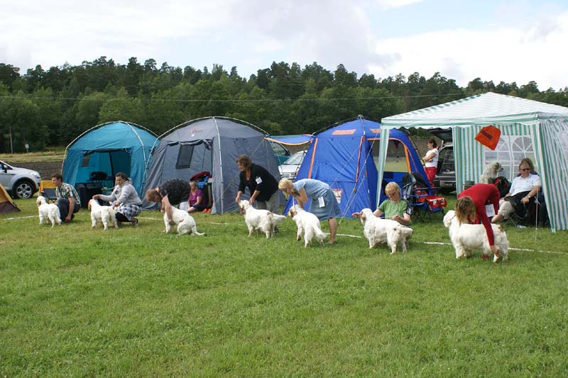 SWE_CLUBSHOW_IntermediateBitches_e