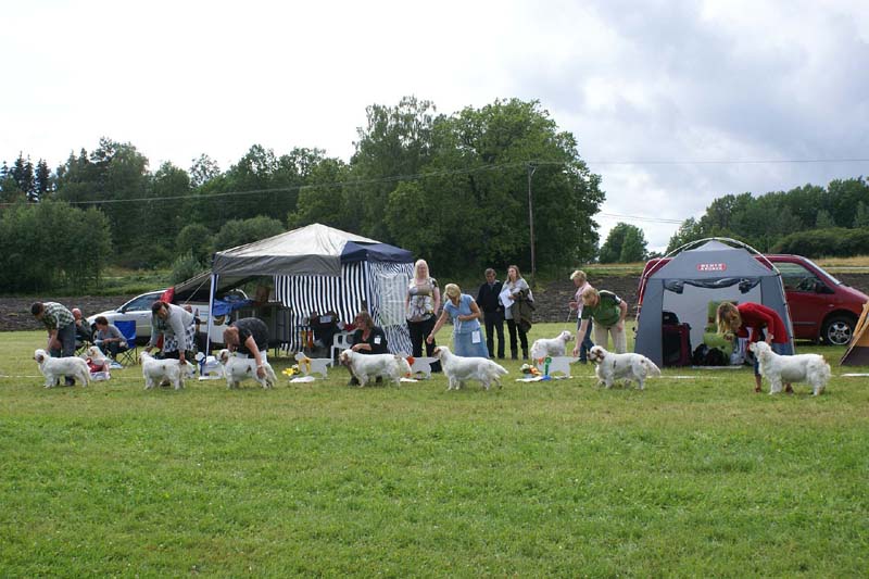 SWE_CLUBSHOW_IntermediateBitches_f