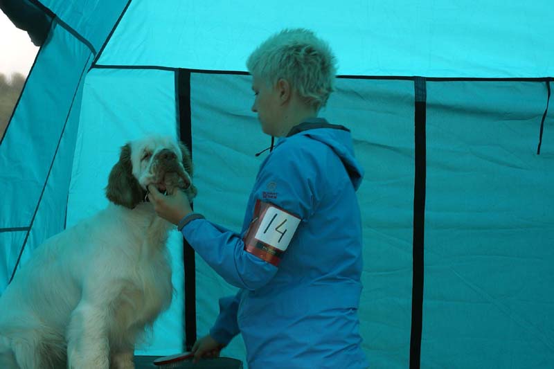 SWE_CLUBSHOW_IntermediateDog_ST_Snow_Go_Amma