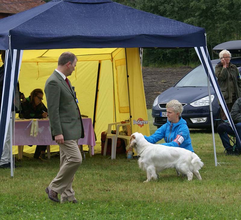 SWE_CLUBSHOW_IntermediateDog_ST_Snow_Go_e