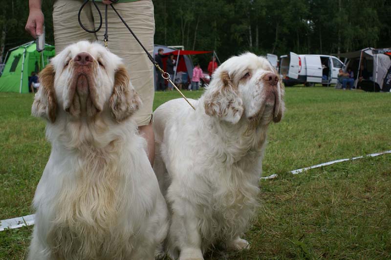 SWE_CLUBSHOW_NexusSpiceTwiceVanguard_STGinger_Finger_b