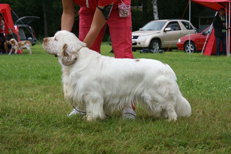 SWE_CLUBSHOW_Nexus_Spice_Twice_Vanguard_E