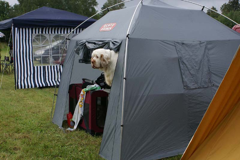 SWE_CLUBSHOW_Nexus_Spice_Twice_Vanguard_H