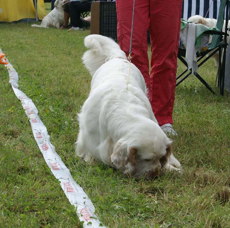 SWE_CLUBSHOW_Nexus_Spice_Twice_Vanguard_I