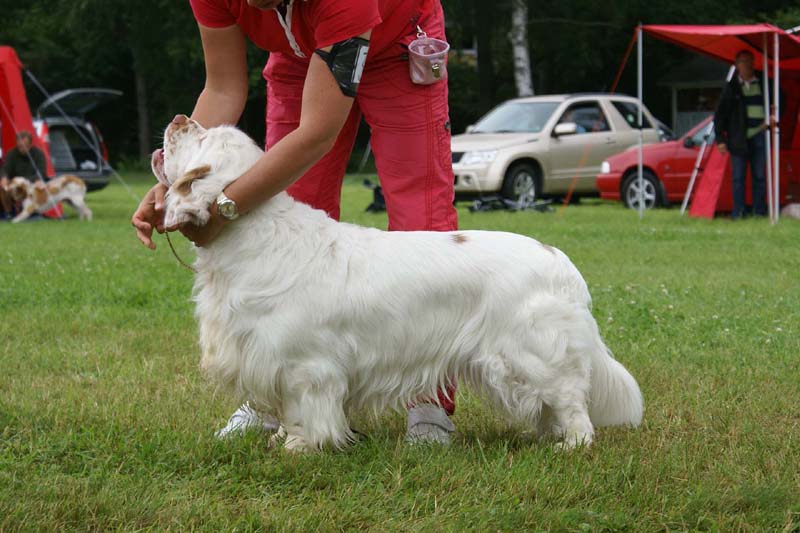 SWE_CLUBSHOW_Nexus_Spice_Twice_Vanguard_M