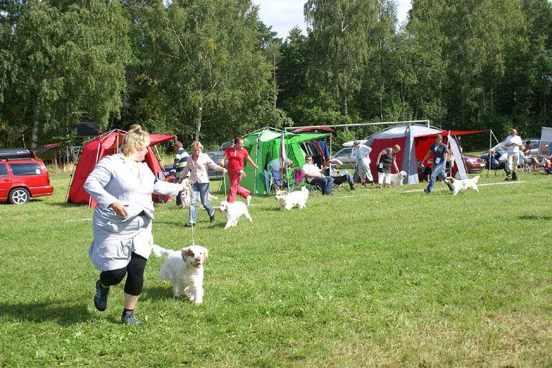 SWE_CLUBSHOW_OpenBitches