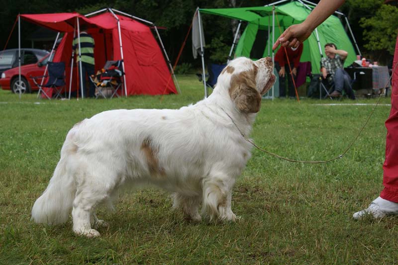 SWE_CLUBSHOW_OpenBitches_ST_HolyMolly_b