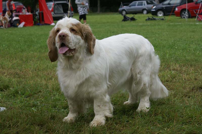 SWE_CLUBSHOW_OpenBitches_ST_HolyMolly_g