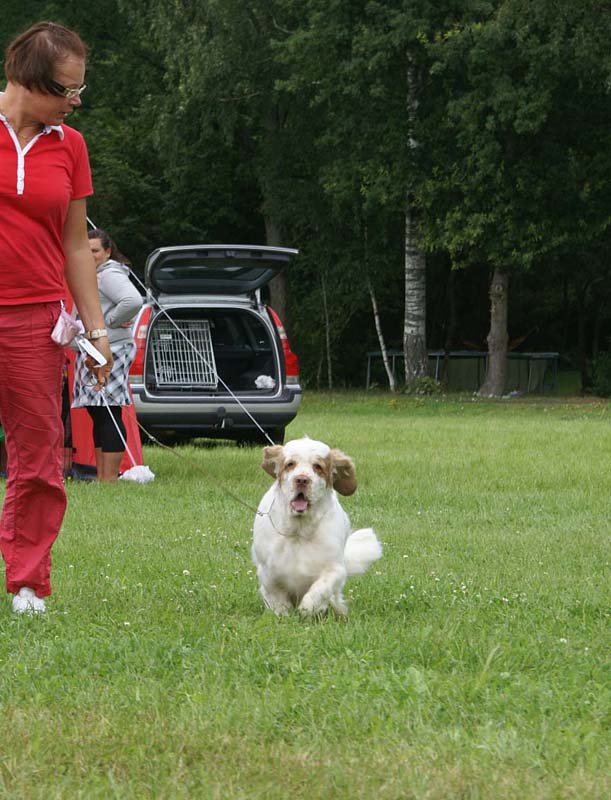 SWE_CLUBSHOW_OpenBitches_ST_HolyMolly_h