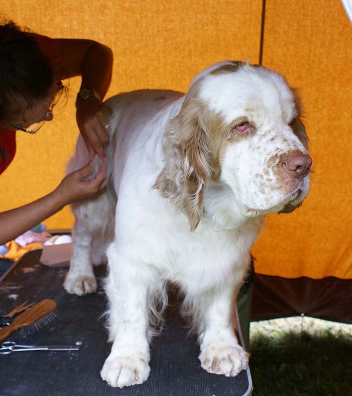 SWE_CLUBSHOW_OpenBitches_ST_HolyMoly_b