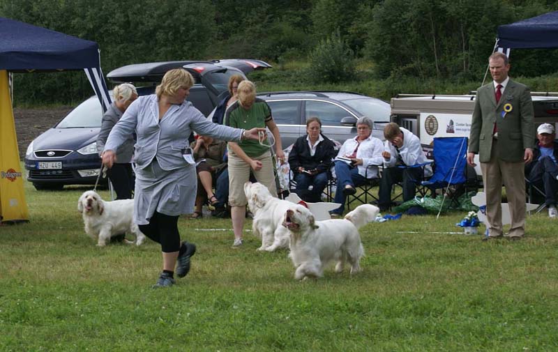 SWE_CLUBSHOW_OpenClass_Dog_18