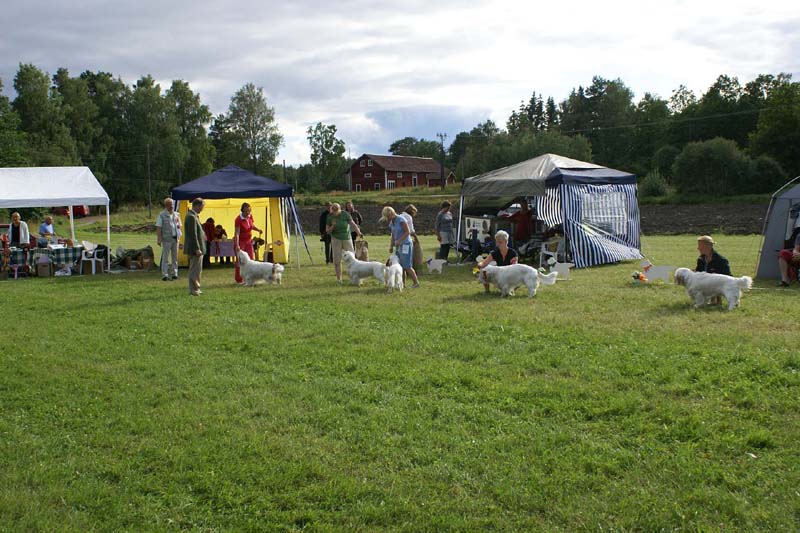 SWE_CLUBSHOW_ProgenyGroup_STAthos_a