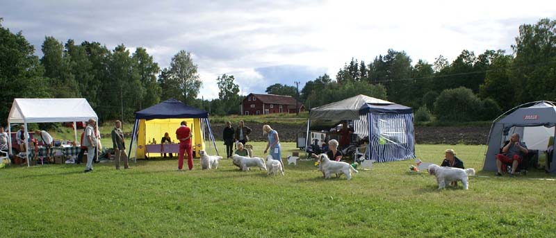 SWE_CLUBSHOW_ProgenyGroup_STAthos_b