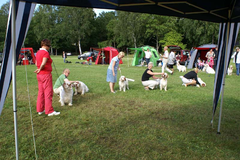 SWE_CLUBSHOW_ProgenyGroup_STAthos_c