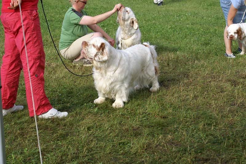 SWE_CLUBSHOW_ProgenyGroup_STAthos_e