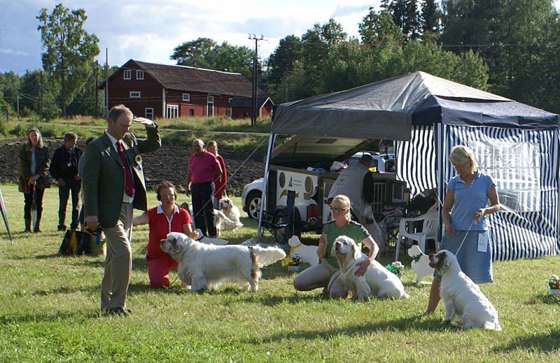 SWE_CLUBSHOW_ProgenyGroup_STAthos_f