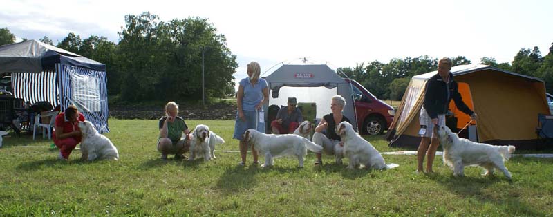 SWE_CLUBSHOW_ProgenyGroup_ShogunsSpiceTwiceCottontail_a