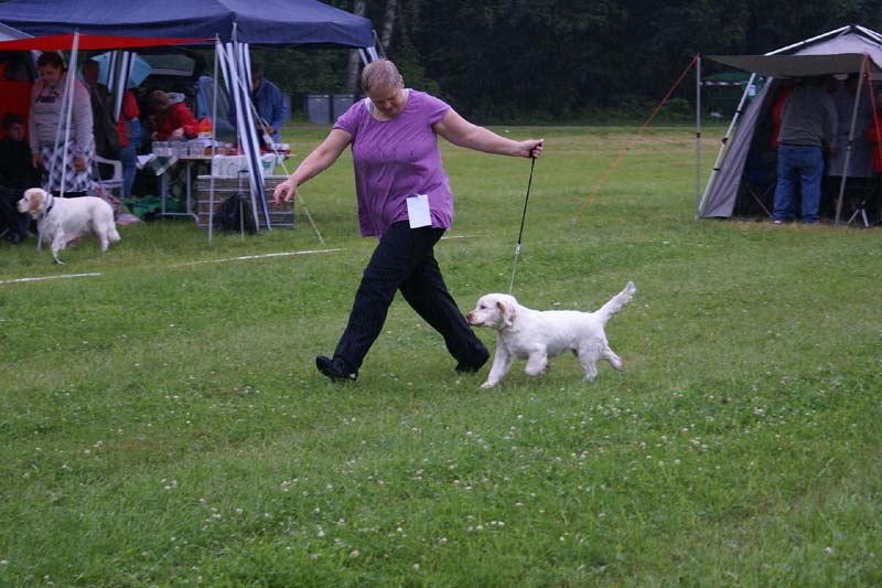 SWE_CLUBSHOW_PuppyClass_7