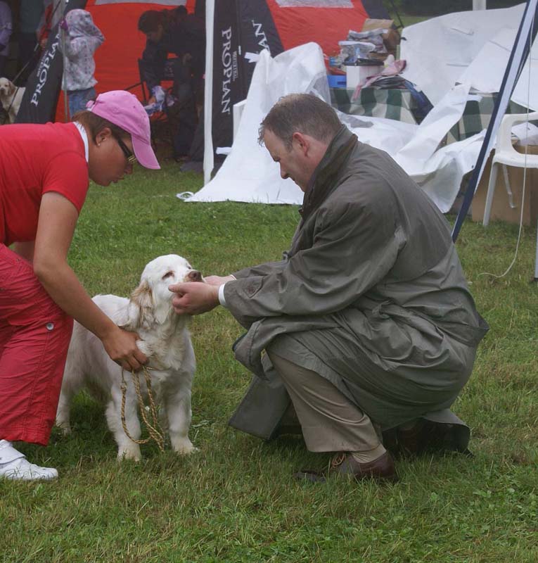 SWE_CLUBSHOW_PuppyClass_ST_Queen_Guinevere_b