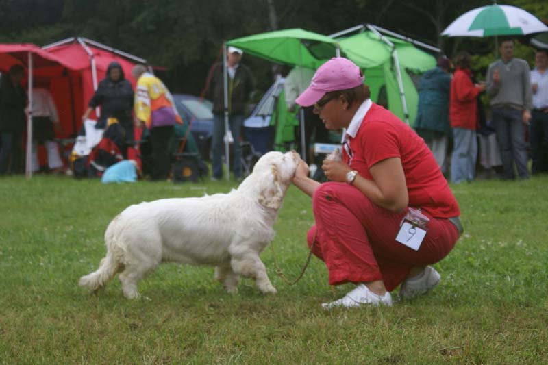 SWE_CLUBSHOW_PuppyClass_ST_Queen_Guinevere_h