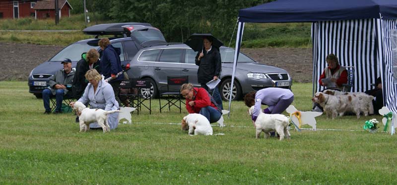 SWE_CLUBSHOW_PuppyClass_a
