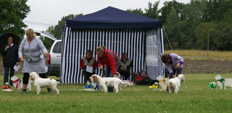 SWE_CLUBSHOW_PuppyClass_b