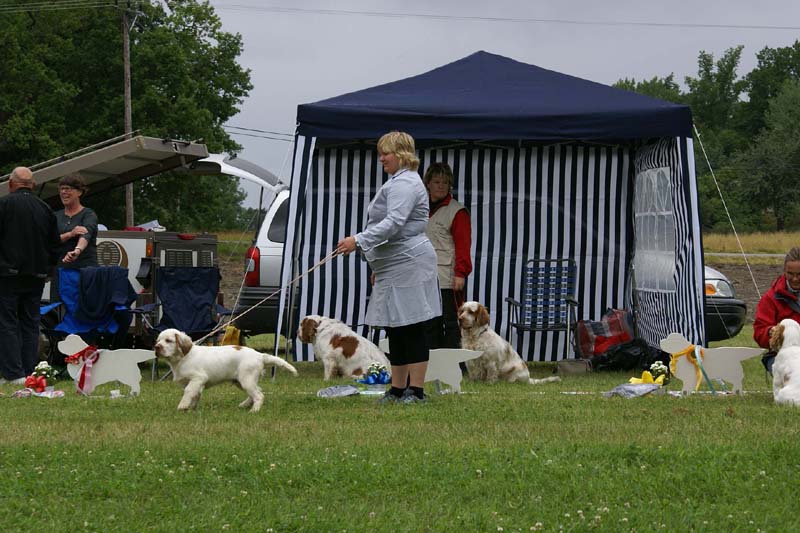 SWE_CLUBSHOW_PuppyClass_d