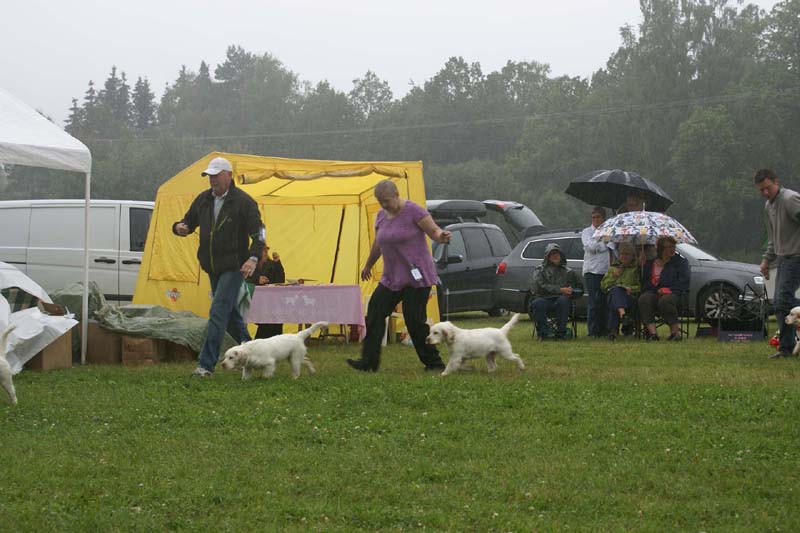 SWE_CLUBSHOW_PuppyClass_f