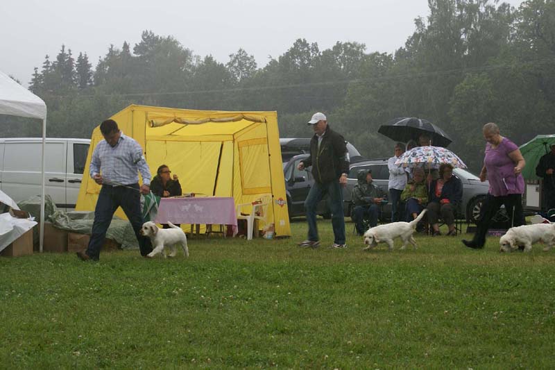 SWE_CLUBSHOW_PuppyClass_g