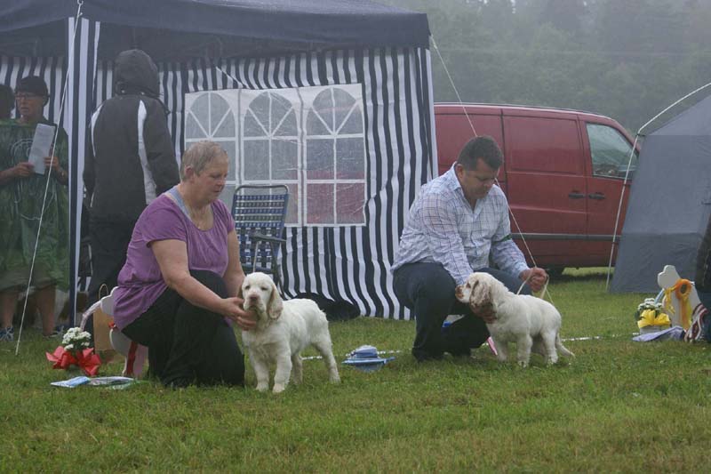 SWE_CLUBSHOW_PuppyClass_k