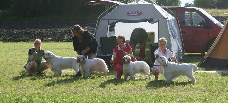 SWE_CLUBSHOW_ST_BreedersGroup_a